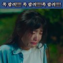 하나정보 이미지