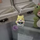 호치민 카페 : 타오디엔 펫카페 &#39;마메시바 MAME Shiba&#39; +시바견과 고양이