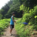 한솔뜰근린공원 이미지