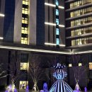 신라스크린골프 | 강원도 :: [신라모노그램 강릉 레지던스] 프리미어 디럭스 내돈내산 후기, 피쉬컬쳐