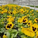 월오보건진료소 이미지