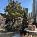 (유성-136) | [대전/유성구] 크리스마스 데이트 하기 좋은 조용한 애견동반카페 '데이지136'