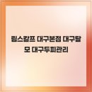 림스칼프 | 림스칼프 대구본점 대구탈모 대구두피관리
