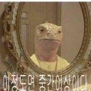 나더호텔 | 10/31 상하이디즈니랜드, 스카이 포츈 부티크 호텔 !!