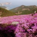 대암주유소 Daum카페