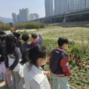 삼봉초등학교 이미지