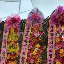 유진이네