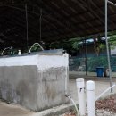 양평숲 비룡캠프장 이미지