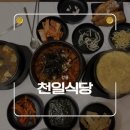 지영이네 생선가게 | 강릉 노포 천일식당 | 아기랑 방문한 찐맛집, 김치뽀글이세트·생선구이 후기