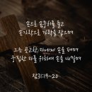 청색자색 이미지