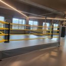 복싱피플 이미지