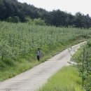 만산농장 네이버블로그