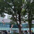 방이2동 주민센터 이미지