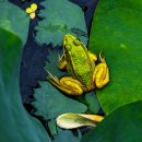 여름이야기 이미지