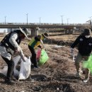 남대천새벽시장 이미지