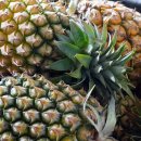 파인애플 이미지