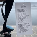 노루발타이어 이미지