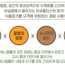 (주)롤랩 이미지
