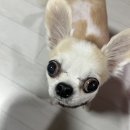 덕소안마원 이미지