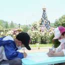 에버로즈 이미지