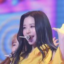 큐리어스 Daum카페