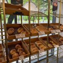 고산골 공룡공원 벽 이미지