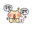 이슬미스테이 이미지