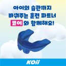 코이(koii) - 강남구 | 코이(koii)