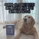 우다다 | 우다다 4in1 멀티클리퍼 애견 바리깡 사용 후기｜셀프 미용 필수템