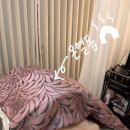 경북공업고등학교 | 생리통에 제격인 대구마사지맛집 “세이벨라스킨앤바디 대구중구점” 복부+얼굴관리 후기