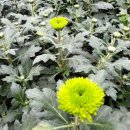 풍국농장 이미지