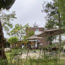 카페죽헌길 이미지