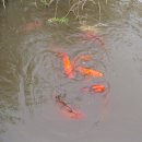 한인농장 이미지