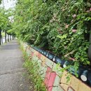 위철안경원 이미지