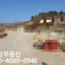 팔방부동산중개 이미지