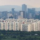 압구정-244 이미지