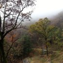 시골나들이 이미지