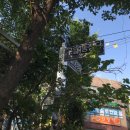수정냉면 - 3604 | 수정냉면