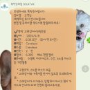 단독투어 한인가이드 ‘ 뚝딱트래블 뚝딱투어 DDUKTAK ’ 내돈내산 솔직후기 고프로 빌려주는 투어