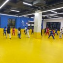 에코 호리 태권도 이미지