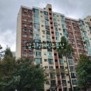 압구정-203 이미지