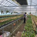 영민농장 이미지