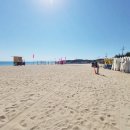 비치플레이스 이미지