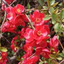 영신이발관 이미지