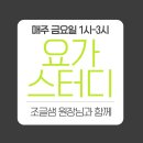 요가(오후) 이미지