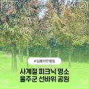 입암리 공중화장실 네이버블로그