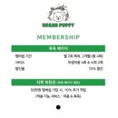 골드퍼피 애견유치원 | 어반퍼피🐶 애견유치원후기🐾