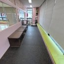 똑똑 애견유치원 이미지