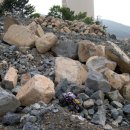 덕산아파트 앞 이미지