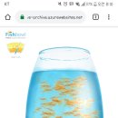 성능체크